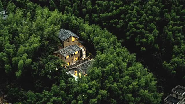 处在深山老林中的别墅,真正的小隐隐于野,太低调了!