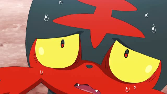 精灵宝可梦:火焰猫在战斗时,小智他们赶到了