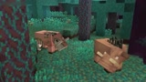 Minecraft动画：疣猪兽vs炽足兽