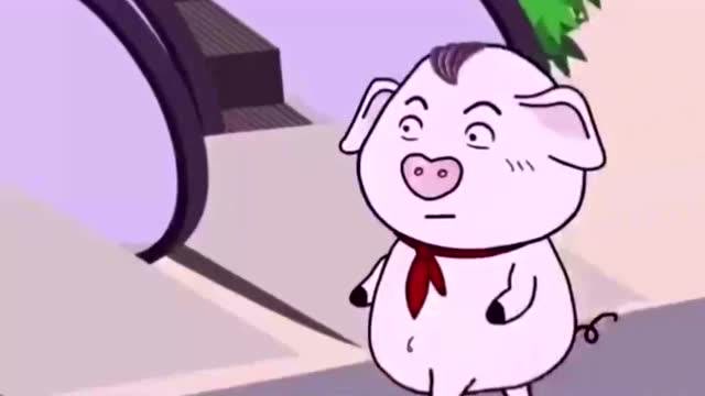 猪屁登:原谅我当时太着急!