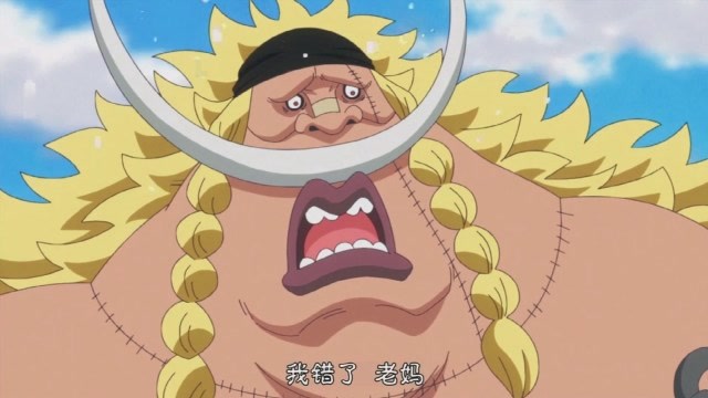 海贼王:憨傻威布尔想要为白胡子报仇,巴金却只想利用他抢夺白胡子遗产