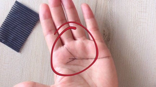 凤尾握在手清闲又富有手掌握有凤尾纹的人一生福禄更胜