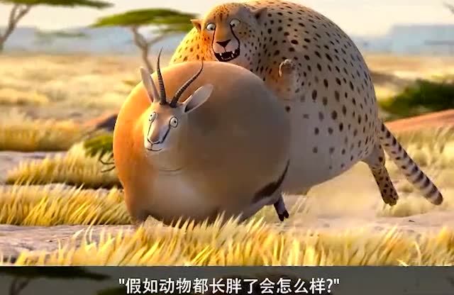 动物们都长胖了,这个豹子太凶猛了