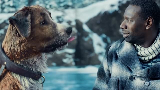 野性的呼唤 :最帅的巴克,最善良的神犬