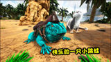 方舟生存进化：水晶岛19快乐的一只小跳蛙