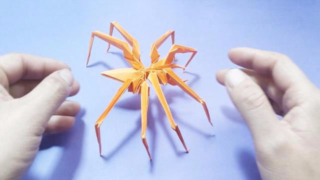 超逼真的蜘蛛折纸,几分钟就能折成,简单好玩