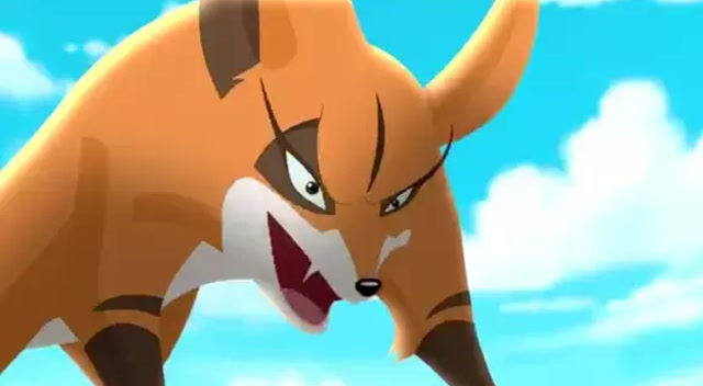 我是大熊猫哈比被赤狐暗算竟被赤狐当球耍真是太可怜了