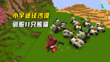 迷你世界荒岛第二季34：小宇回家途径沙漠，一口气驯服了11只熊猫