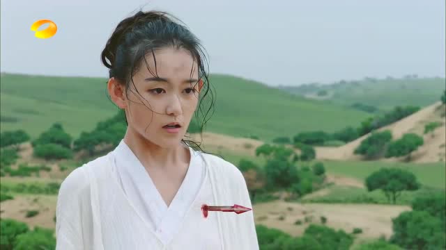 楚乔传:卷毛头终究逃不过命运,楚乔抱着她失声痛哭,顿时心碎了