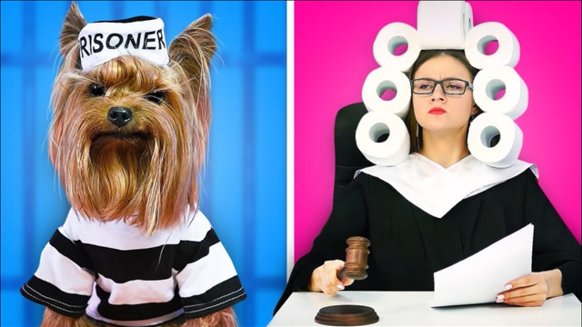 国外美女周末搞笑时刻,全程爆笑不断,网友:老外真会玩