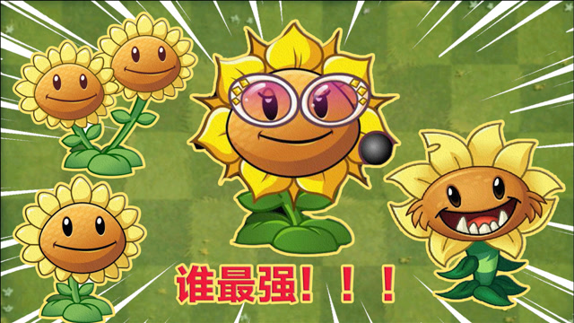 pvz2:四棵向日葵,新手玩家应该如何选择?谁才是冒险刷关最强的