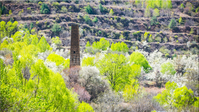 中路藏寨梨花季,恍若世外