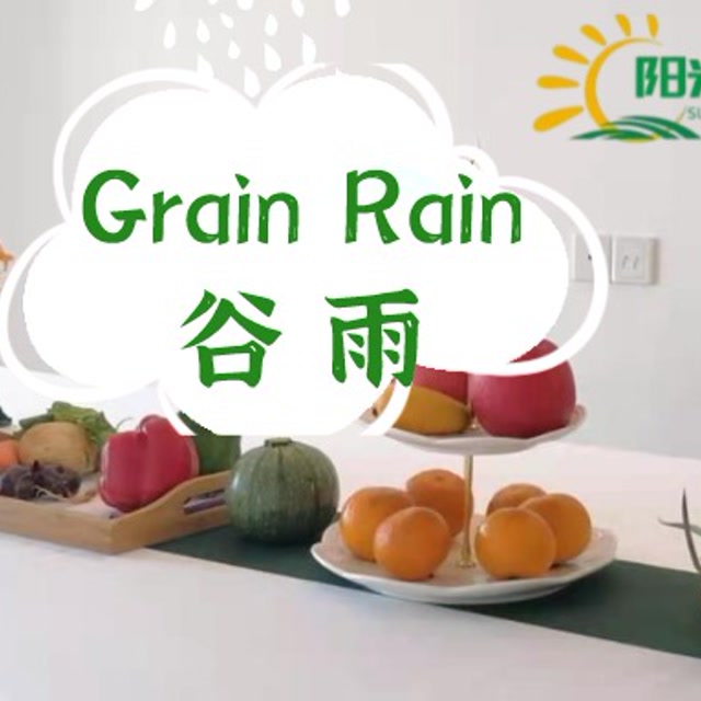 grain rain 谷雨 pure vegan diet 纯净素