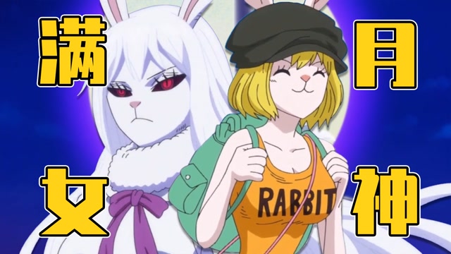 我算出了《onepiece》中,兔娘加洛特变身前后的身材数据变化!
