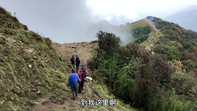 行者合金在尼泊尔为什么要跟阿里比达分开