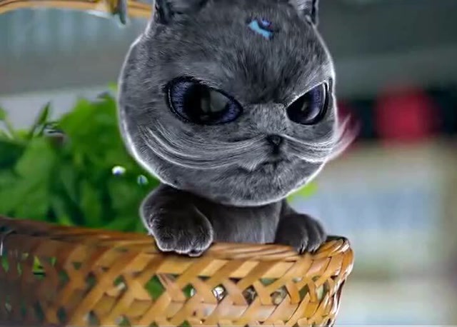 这么可爱的外星喵,竟然被女子拉去引雷劈