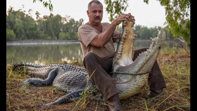 澳大利亚鳄鱼泛滥成灾,当地人头疼不已,政府无奈使出绝招!