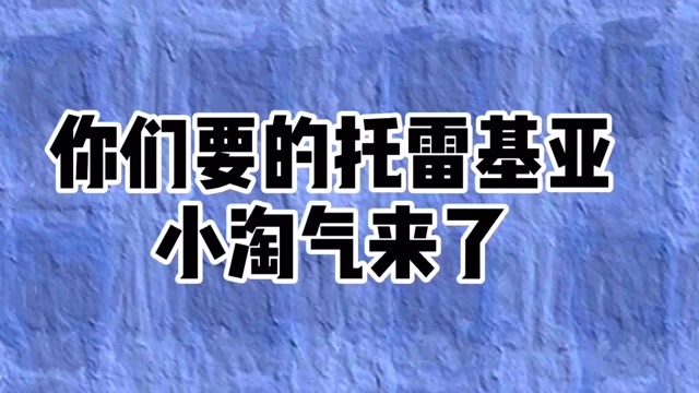 托雷基亚版小淘气图片