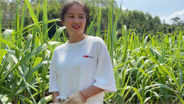 农村单身美女,在广东回来相亲,想招个上门女婿