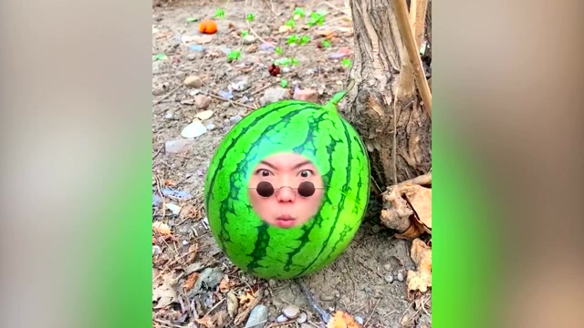 百变君:今天我变成一个大西瓜,却被熊孩子抱回家了