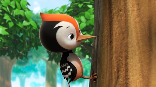 森林医生啄木鸟穿着鲜艳的衣服,敲敲打打害虫跑,大树无病一身轻