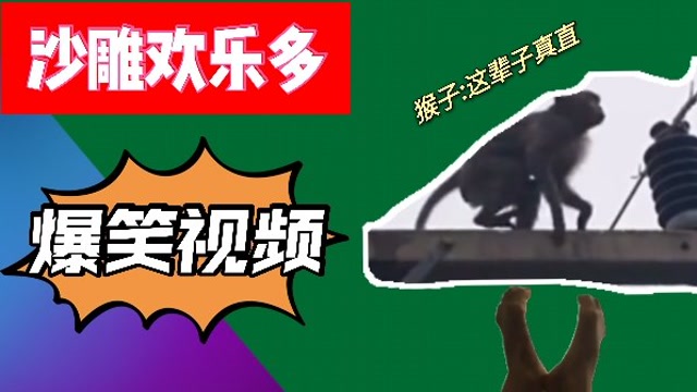 搞笑:猴子,这辈子真直