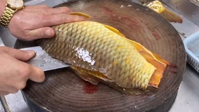 姜是老的辣鲤鱼是老的黄,极品黄鲤鱼做横县鱼生,真是吃货的最爱