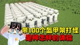 我的世界：带领100个盔甲架打怪，首先遭殃的却是我的电脑？