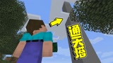 我的世界：阿呆发现一座通天塔！最后竟成了全村人的敌人！