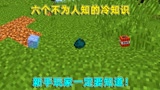 我的世界：盘点六个不为人知的冷知识！mc新手玩家一定要知道！