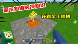 迷你世界：你不知道的冷知识！岩浆上面竟然可以种树，你知道吗？
