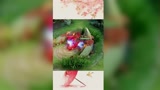 王者荣耀：好家伙，国服也不敢这么操作