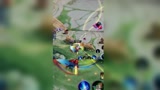 王者荣耀：这么细节的对抗路谁又能不喜欢呢
