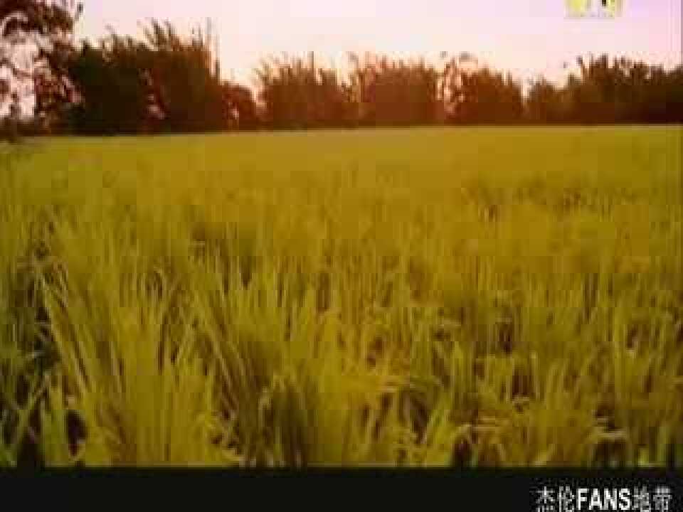 【MV】周杰伦-稻香MV(MTV台完整版)_高清1080P在线观看平台_腾讯视频