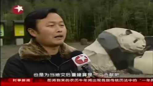 视频：卧龙大熊猫 难认他乡是故乡