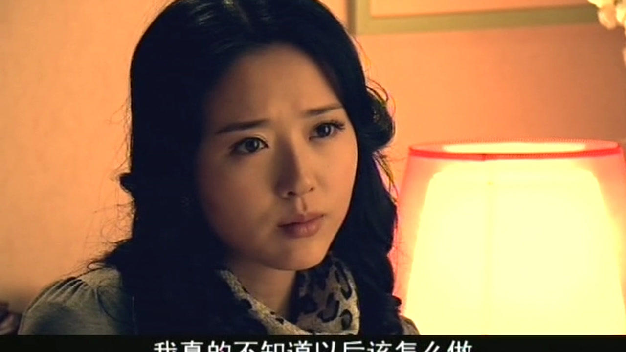 闪婚 27集