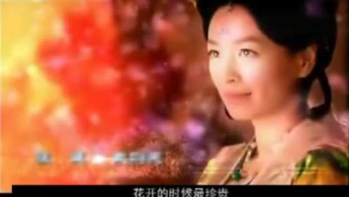 《唐宫美人天下》主题曲《落花》