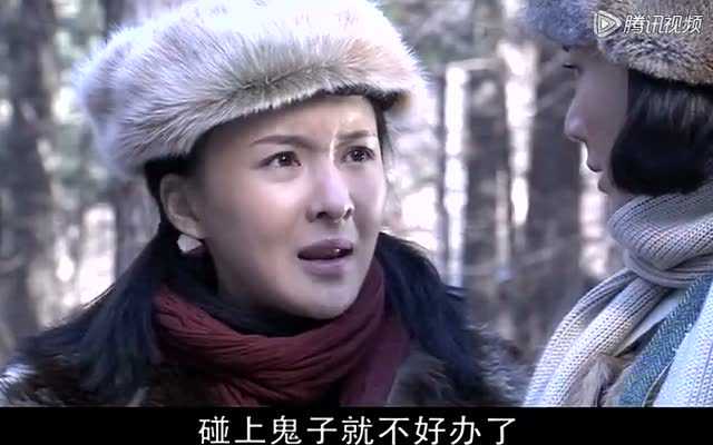 战火中青春之血染的风采 18集