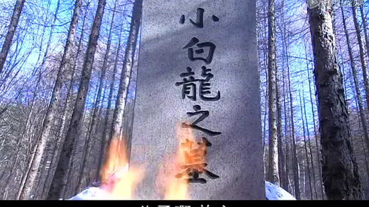 战火中青春之血染的风采 5集