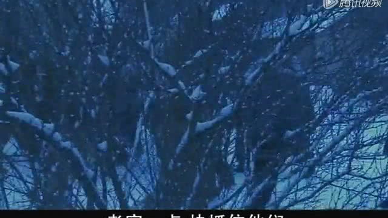 战火中青春之血染的风采 7集