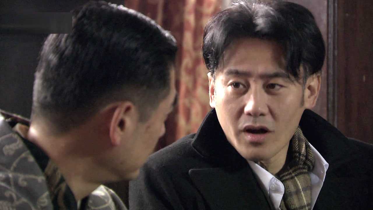追捕  2010 30集