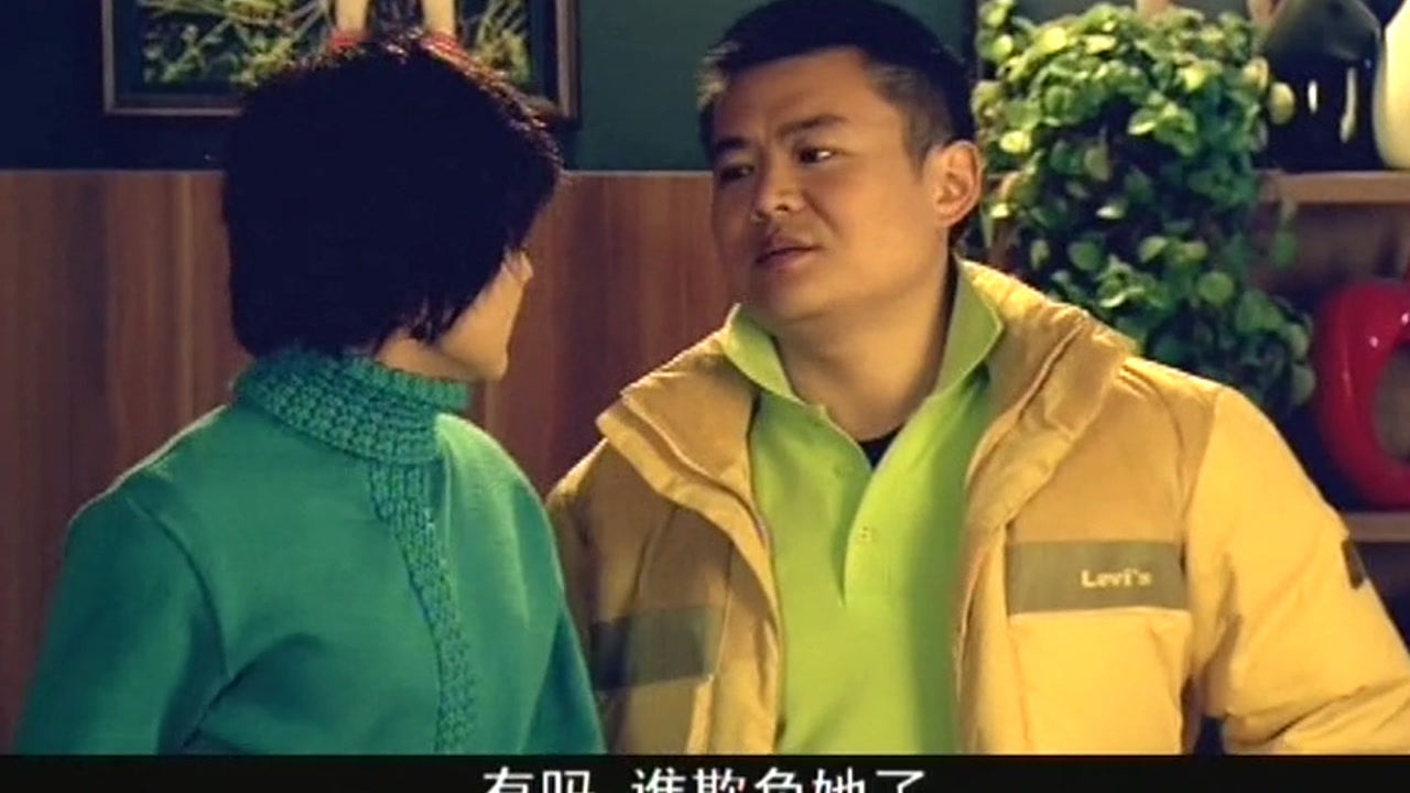 闪婚 12集