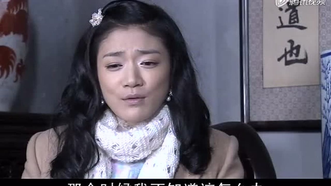 战火中青春之血染的风采 14集