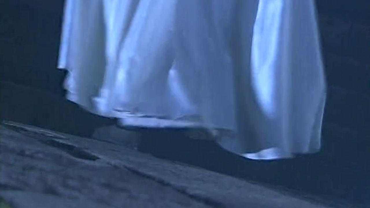 泪痕剑 9集