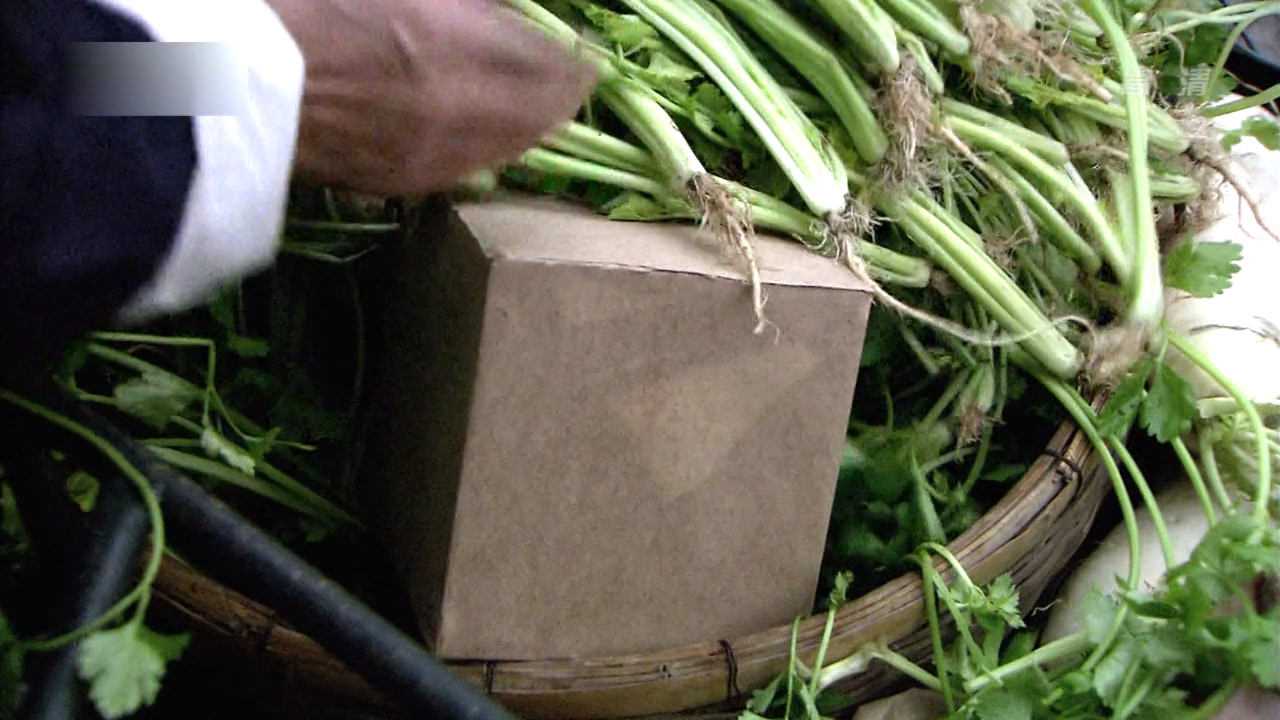 追捕  2010 15集