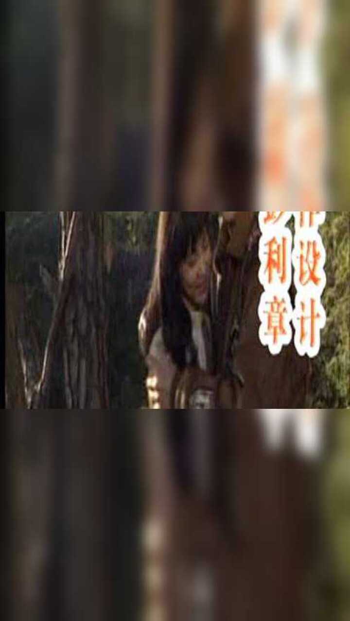 海鸥飞处彩云飞_01_高清