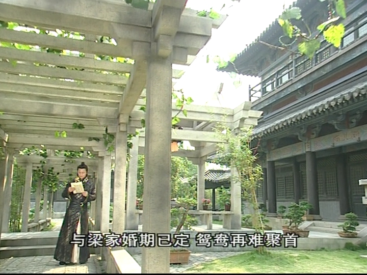 刁蛮公主 14集