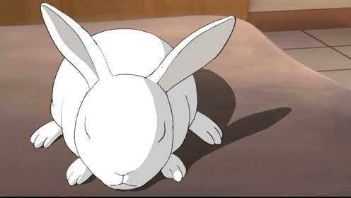 梦里人 25集
