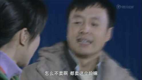 翠兰的爱情 19集