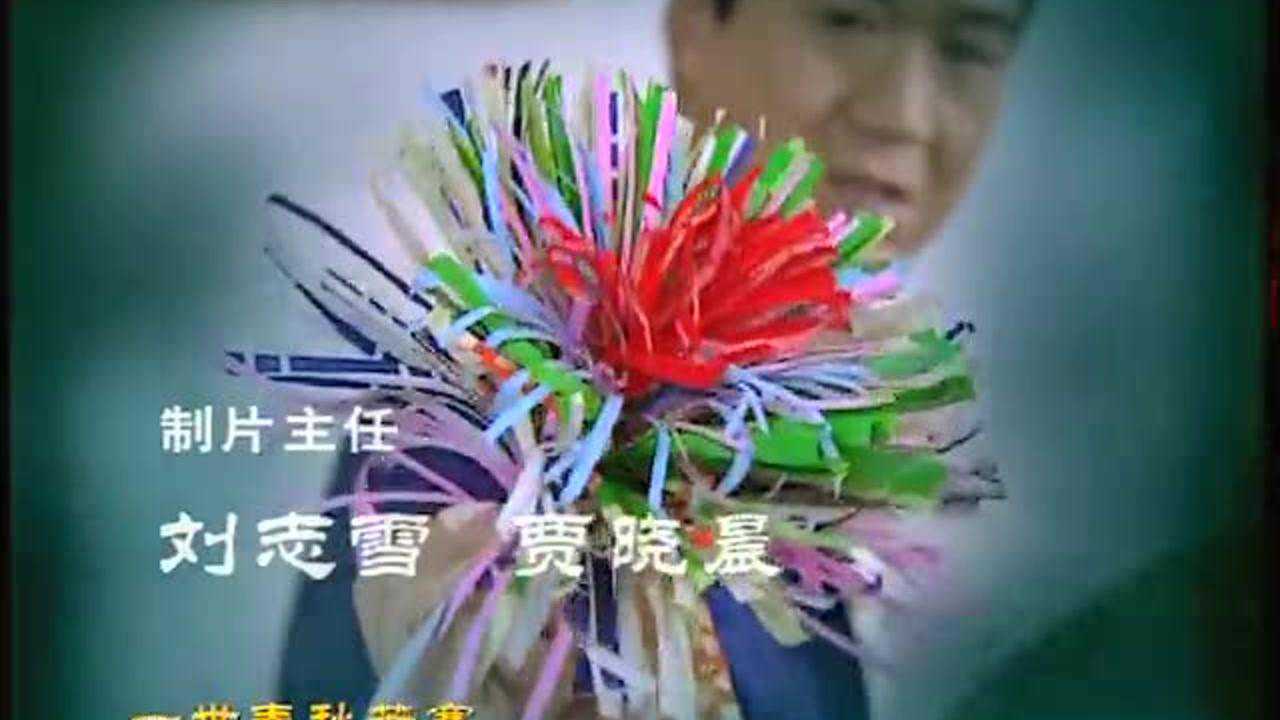 我这一辈子 5集